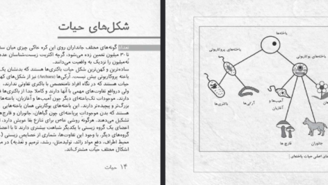 دانلود فایل پی دی اف کتاب زیست شناسی در چند دقیقه تام جکسون