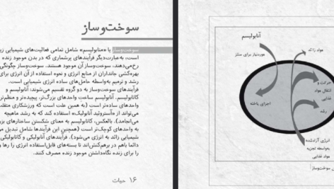 دانلود فایل پی دی اف کتاب زیست شناسی در چند دقیقه تام جکسون