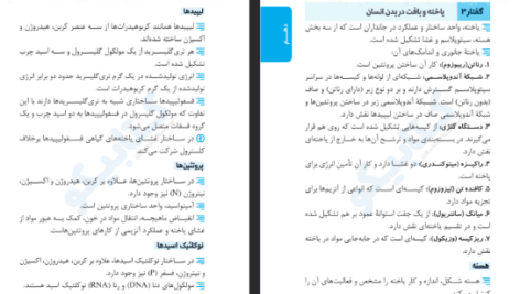 دانلود فایل پی دی اف کتاب عبارت های کلیدی زیست کنکور