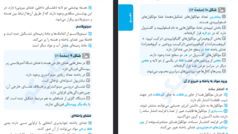 دانلود فایل پی دی اف کتاب عبارت های کلیدی زیست کنکور