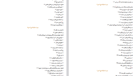 دانلود فایل پی دی اف کتاب سیرت جاودانه جلد ۱ سید جعفر مرتضی عاملی