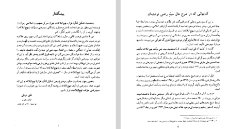 دانلود فایل پی دی اف کتاب سید رضی مولف نهج البلاغه علی دوانی