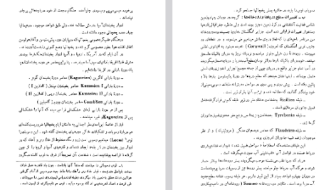 دانلود فایل پی دی اف کتاب سنگواره های انسان عصر حجر دکتر روبر ژولین