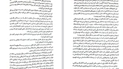 دانلود فایل پی دی اف کتاب سنگدل مریسا مایر