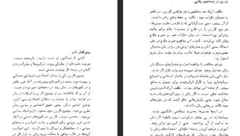 دانلود فایل پی دی اف کتاب زن در جستجوی رهایی ورنر تونسن