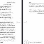 دانلود فایل پی دی اف کتاب زنان فیلسوف در یونان و رم باستان رژین پی یترا