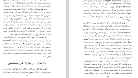 دانلود فایل پی دی اف کتاب سنگواره های انسان عصر حجر دکتر روبر ژولین