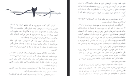 دانلود فایل پی دی اف کتاب اریک شیشه ای سارا جی ماس