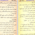 دانلود فایل پی دی اف کتاب سیاحت نامه عزیز نسین