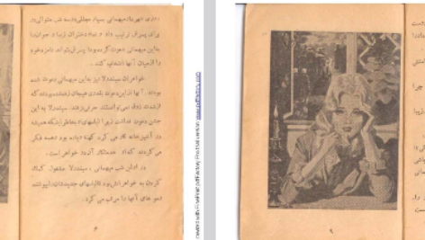 دانلود فایل پی دی اف کتاب سیندرلا اثر ورا ساتگیت