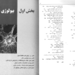 دانلود فایل پی دی اف کتاب زیست شناسی سلولی،مولکولی و مهندسی ژنتیک مجید مهدوی