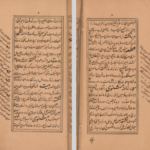 دانلود فایل پی دی اف کتاب شبستان نکات و گلستان لغات یحیی سیبک فتاحی نیشابوری