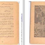 دانلود فایل پی دی اف کتاب سیندرلا اثر ورا ساتگیت